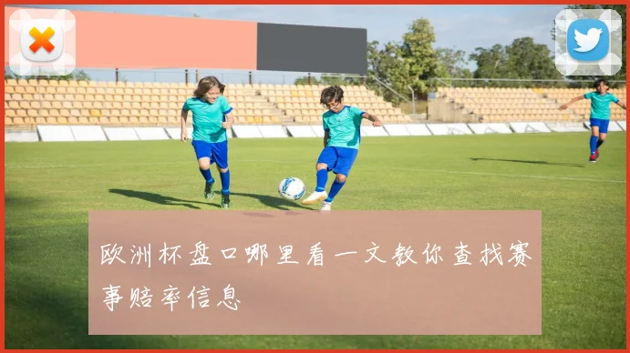 欧洲杯盘口哪里看一文教你查找赛事赔率信息