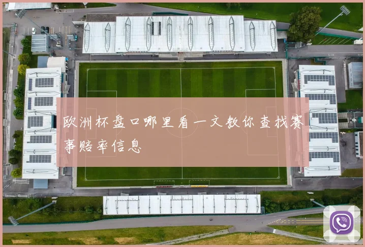 欧洲杯盘口哪里看一文教你查找赛事赔率信息