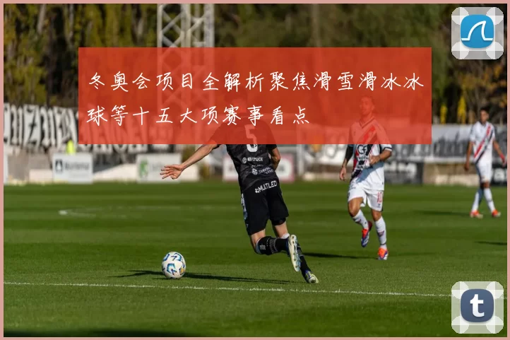 冬奥会项目全解析聚焦滑雪滑冰冰球等十五大项赛事看点